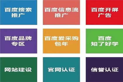 行业专家解读：专业SEM托管的五大成功案例
